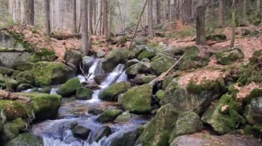 Vahşi bir dağ vadisinde güzel bir dere manzarası.