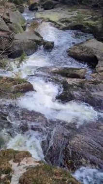 Bir dağ vadisinde çağlayan güzel su manzarası.