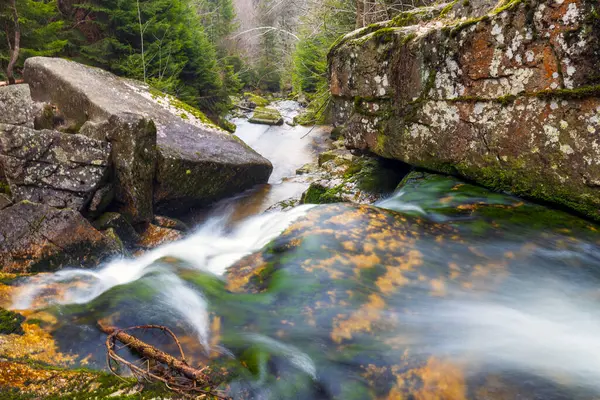 Vahşi bir dağ vadisinde romantik bir akarsu manzarası