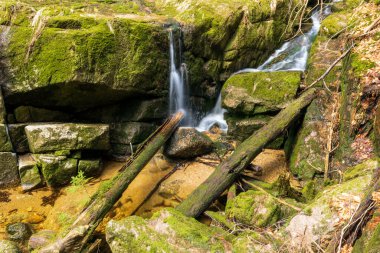 Vahşi bir dağ vadisinde romantik bir akarsu manzarası