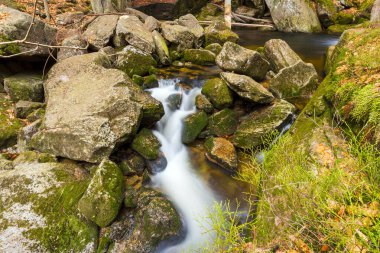 Vahşi bir dağ vadisinde romantik bir akarsu manzarası