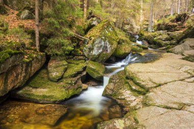 Vahşi bir dağ vadisinde romantik bir akarsu manzarası