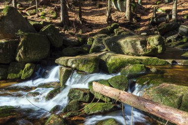 Vahşi bir dağ vadisinde romantik bir akarsu manzarası