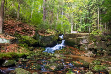 Vahşi bir dağ vadisinde romantik bir akarsu manzarası
