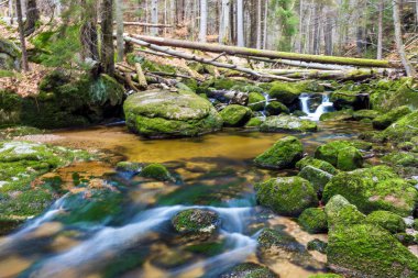 Vahşi bir dağ vadisinde romantik bir akarsu manzarası