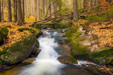 Bir dağ vadisinde güzel bir şelale manzarası