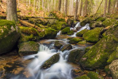 Vahşi bir dağ vadisinde romantik bir akarsu manzarası