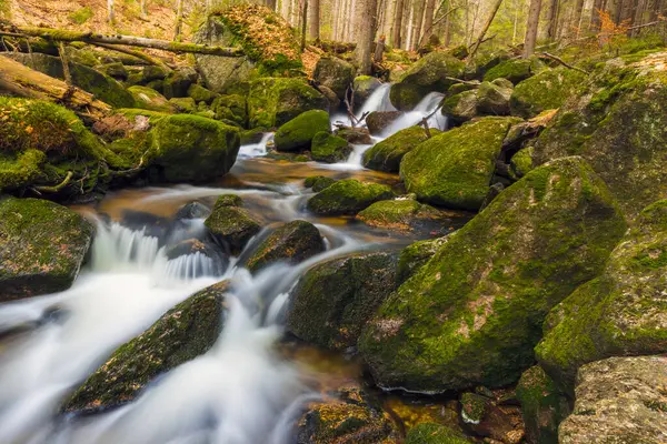 Vahşi bir dağ vadisinde romantik bir akarsu manzarası