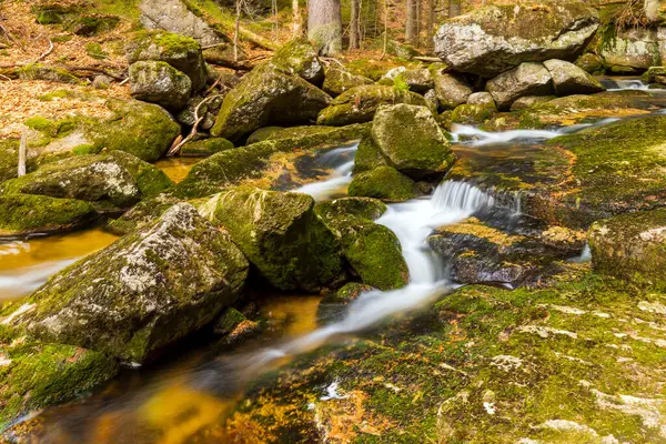 Vahşi bir dağ vadisinde romantik bir akarsu manzarası