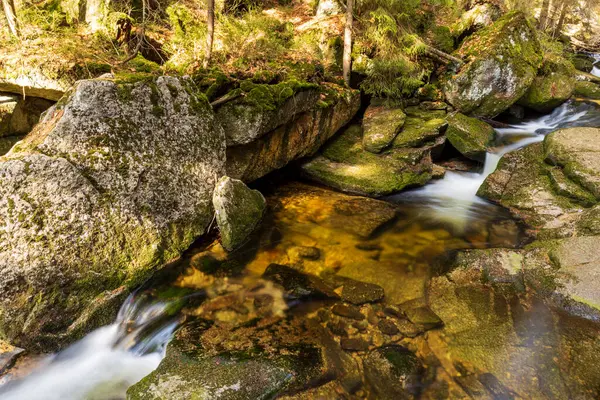 Vahşi bir dağ vadisinde romantik bir akarsu manzarası
