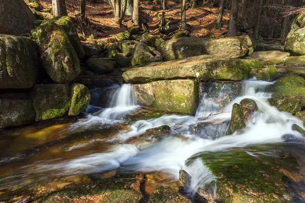 Vahşi bir dağ vadisinde romantik bir akarsu manzarası