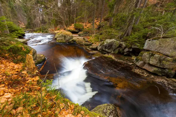 Vahşi bir dağ vadisinde romantik bir akarsu manzarası