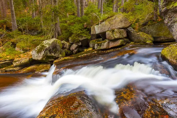 Vahşi bir dağ vadisinde romantik bir akarsu manzarası