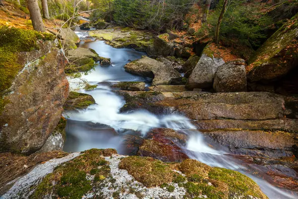 Dağ vadisinde romantik bir nehrin güzel manzarası