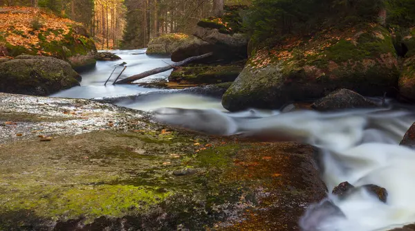 Dağ vadisinde romantik bir nehrin güzel manzarası