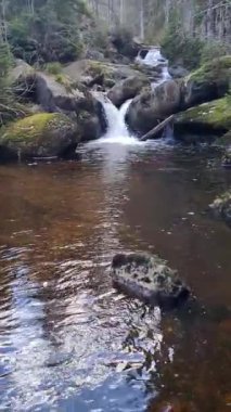 Dağ vadisinde romantik bir nehrin güzel manzarası