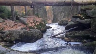 Dağ vadisindeki nehrin çağlayan sularının güzel manzarası.