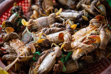 Balık pazarında bir avuç canlı yengeç.