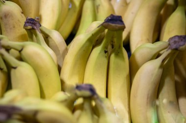 Bir avuç organik yetişmiş muz.