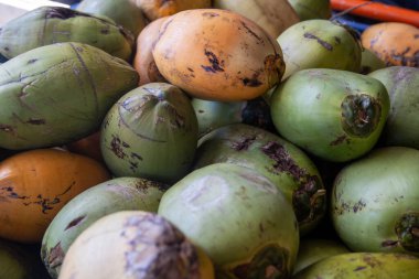 Satılık taze organik hindistan cevizleri.