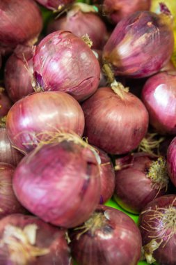 Bir grup Kızıl Çiğ Soğan dikey çekim