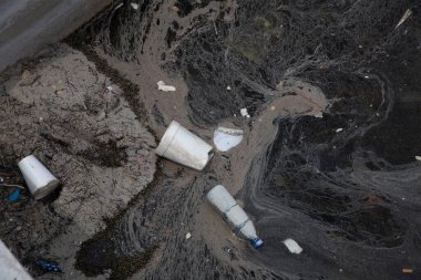Stil köpük kaplar ve şişe suyu kirliliği