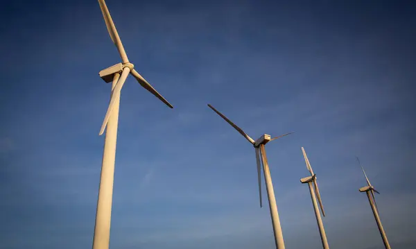 Yenilenebilir enerji için Rüzgar Türbinleri Sırası