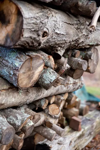 Hromada Dřeva Podpal Zimu — Stock fotografie
