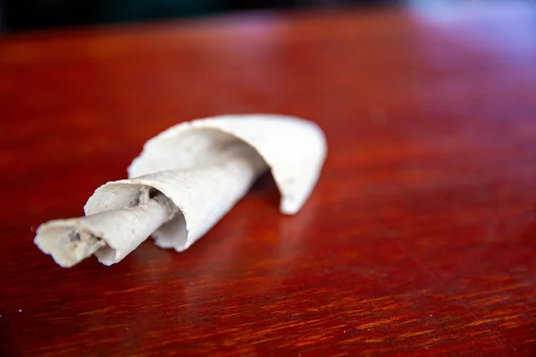 Spiral Conch Sea Shell Ένα Τραπέζι — Φωτογραφία Αρχείου