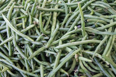 Satılık String Fasulyeleri Grubu