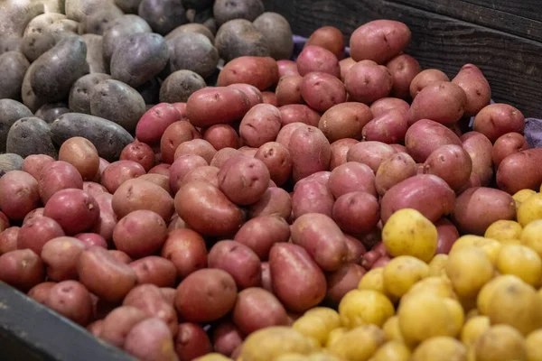 Различные Сорта Картофеля Красный Фиолетовый Желтый — стоковое фото