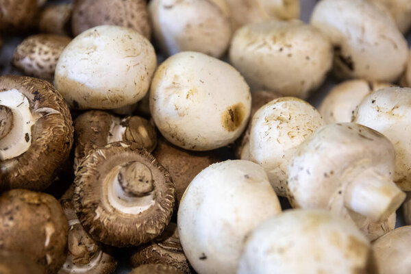 Brown and White Mushrooms at the farmers market