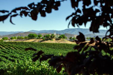 Temecula, California 'da bir üzüm bağında emlak