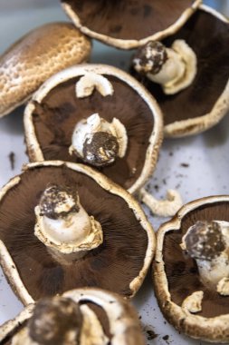 Dikey çekilen büyük Portobello Mantarları