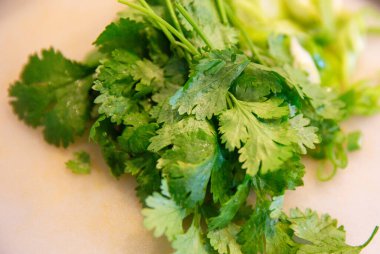 Bir yığın taze kişniş.