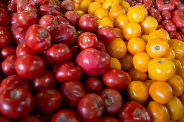 Different types of Tomatoes at a farmers market