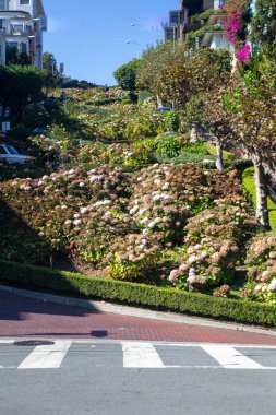 Lombard Caddesi 'nin yukarısı San Francisco' da.