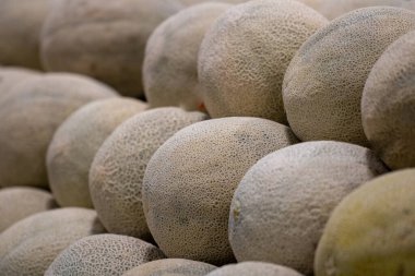 Kavunları pazarda satmak için.