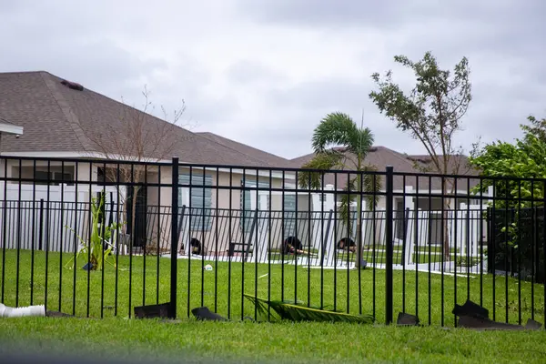 Ian 'dan sonra arka bahçe enkazı.