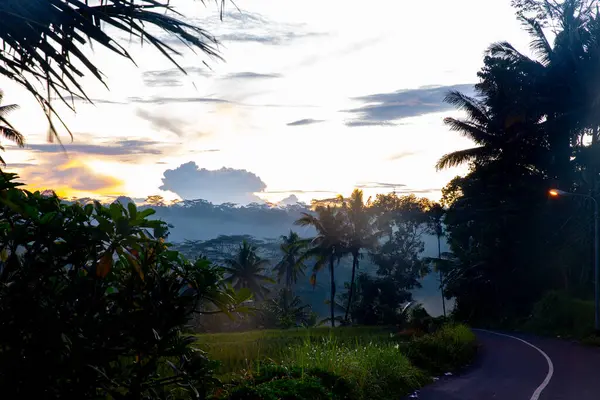 Endonezya Kırsal Yolu Ubud, Bali, Endonezya