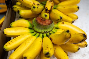 Malezya 'da Pisang adında küçük Mini Muzlar