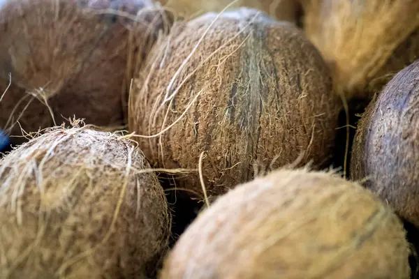 Olgun Hindistancevizleri bir meyve satıcısında satılıyor.