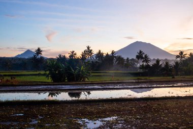 Endonezya, Bali 'de Sabah Yükselişinde Agung Dağı