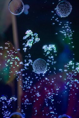 Cam ayırıcı için Sudaki Hava kabarcıkları Dekorasyon olarak.