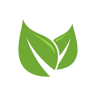 Yaprak ikonu vektör tasarımı illüstrasyon doğa sembolü