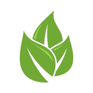 Yaprak ikonu vektör tasarımı illüstrasyon doğa sembolü