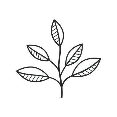 Kadın yaprak ikonu grafik vektör tasarımı çizimi