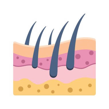 Saç kökü sembolü grafik tasarım çizimi