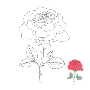 El yapımı Rose çizimi sanat tasarımı illüstrasyonu