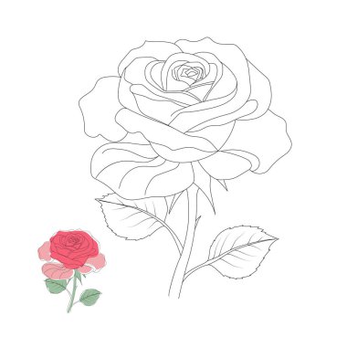 El yapımı Rose çizimi sanat tasarımı illüstrasyonu